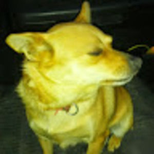 Meet your Posher, Wild